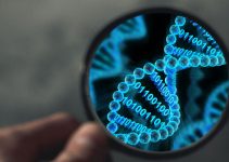 DNA paternity profiling