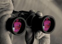 Pattaya private investigator job